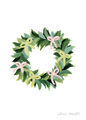 Image Not Available